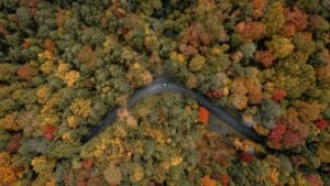 catskill mountains hotels new york