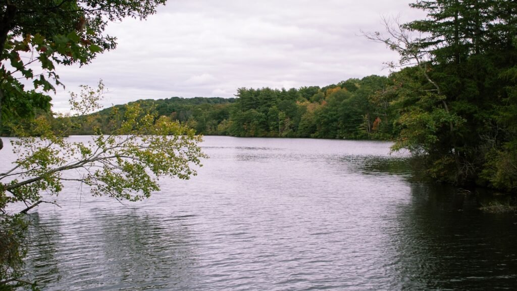 A serene landscape of Harriman State Park unfolds, with towering ridges and lush forests in the distance. In the foreground, a pristine lake reflects the azure sky, its waters dotted with canoes and kayaks. Hikers traverse a winding trail, admiring the vibrant foliage and sweeping vistas of Bear Mountain. Warm, directional sunlight casts a golden glow, heightening the natural beauty of this idyllic retreat, offering a peaceful escape from the bustling city of New York just a short drive away. Harriman State Park in New York large body of water surrounded by trees
