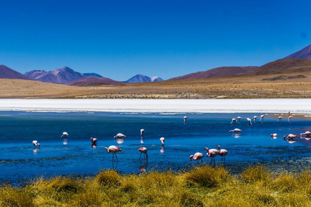 A breathtaking aerial vista of South America's majestic Andes mountains in the early spring. In the foreground, the shimmering expanse of the Salar de Uyuni, the world's largest salt flat, reflecting the azure sky like a mirror. Lush, verdant valleys dotted with colonial towns and villages stretch out below, bathed in warm, golden afternoon light. Pristine glacial peaks rise in the distance, their snow-capped summits glowing in the soft, diffused illumination of the waning day. A sense of serene tranquility and emerging vitality pervades the scene, capturing the essence of South America in the shoulder season of April. A breathtaking aerial vista of South America's majestic Andes mountains in the early spring. flock of birds on body of water during daytime, In the foreground, the shimmering expanse of the Salar de Uyuni, the world's largest salt flat, reflecting the azure sky like a mirror. Lush, verdant valleys dotted with colonial towns and villages stretch out below, bathed in warm, golden afternoon light. Pristine glacial peaks rise in the distance, their snow-capped summits glowing in the soft, diffused illumination of the waning day. A sense of serene tranquility and emerging vitality pervades the scene, capturing the essence of South America in the shoulder season of April.
