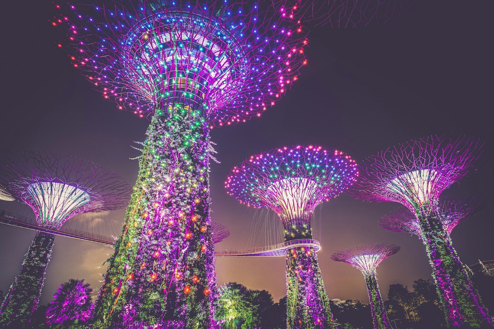 Unmissable Tours Across Asia