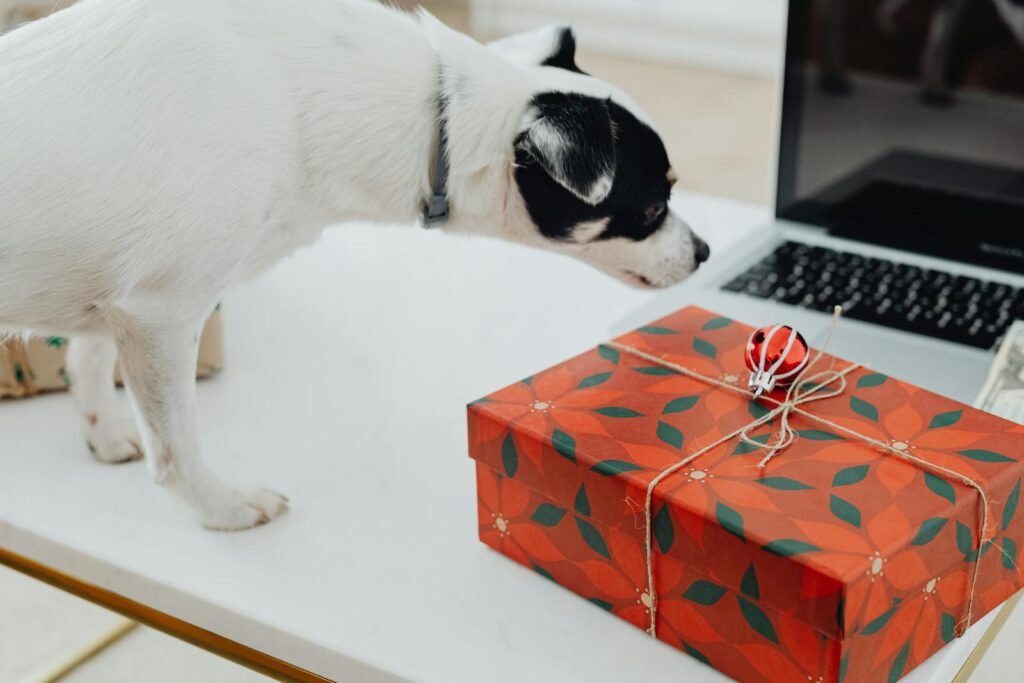 A vibrant, ultra-realistic photo of a dynamic marketing boost concept. In the foreground, a stack of colorful gift boxes emits a warm, enticing glow, representing the core incentives that drive customer engagement. The middle ground features a sleek, modern office setting with minimalist desks and chairs, suggesting an atmosphere of productivity and innovation. In the background, a panoramic cityscape shimmers with the energy of a bustling urban center, symbolizing the far-reaching impact of effective marketing strategies. Dramatic, directional lighting casts dramatic shadows, creating a sense of depth and drama. The overall composition conveys a powerful message of how a strategic marketing boost can unlock new opportunities for travel discounts and savings. photo of a dynamic marketing boost concept. In the foreground, a cute dog sniffing a gift box on a table next to a laptop, indoors. representing the core incentives that drive customer engagement. The overall composition conveys a powerful message of how a strategic marketing boost can unlock new opportunities for travel discounts and savings.