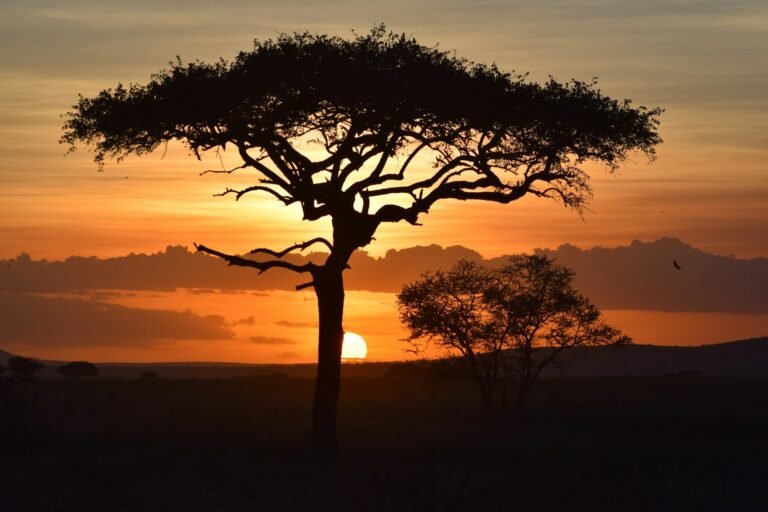 Top African Countries to Visit Now