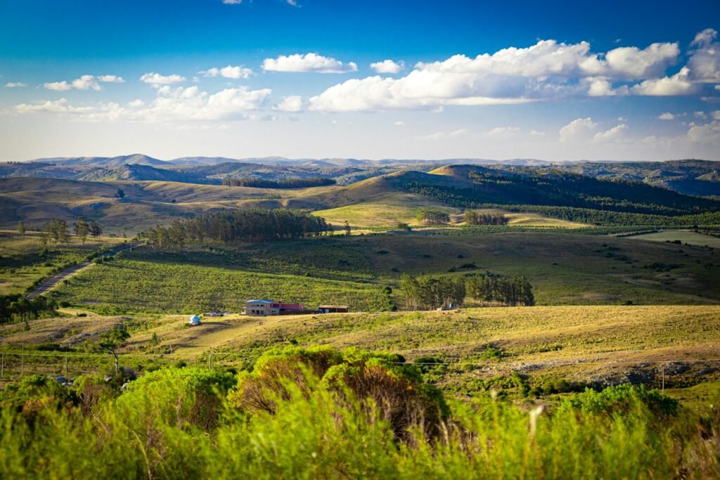 An ultra-realistic photo showcasing the stunning landscapes and iconic landmarks of the safest South American countries to visit in 2025. In the foreground, a panoramic view of the rolling hills and pristine beaches of Uruguay, with the serene waters of the Rio de la Plata reflecting the vibrant colors of the sky. In the middle ground, the snow-capped peaks of the Andes rise majestically, with Chile's Torres del Paine National Park and Argentina's Perito Moreno Glacier taking center stage. In the background, the lush Amazon rainforests of Ecuador, Bolivia, and Peru create a verdant and mysterious backdrop, hinting at the rich cultural heritage and natural wonders waiting to be explored. photo showcasing the stunning landscapes and iconic landmarks of the safest South American countries to visit. In the foreground, a panoramic view of the rolling hills and pristine beaches of Uruguay, with the serene waters of the Rio de la Plata reflecting the vibrant colors of the sky. In the middle ground, the snow-capped peaks of the Andes rise majestically, with Chile's Torres del Paine National Park and Argentina's Perito Moreno Glacier taking center stage. In the background, the lush Amazon rainforests of Ecuador, Bolivia, and Peru create a verdant and mysterious backdrop, hinting at the rich cultural heritage and natural wonders waiting to be explored.