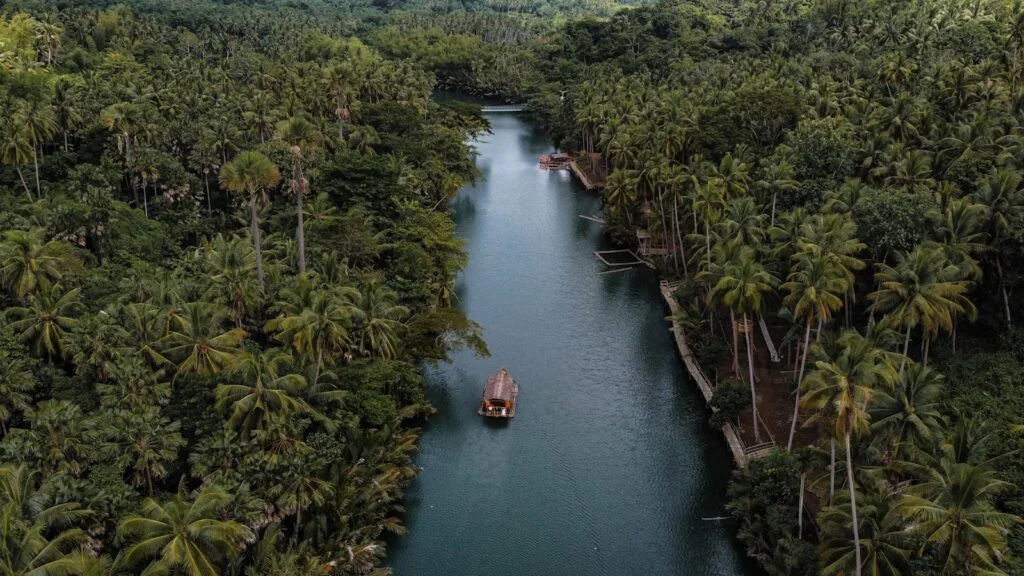 Aerial view of a boat cruising through lush rainforest waterways on a Peru Amazon River tour, surrounded by tropical palm trees and dense jungle scenery.