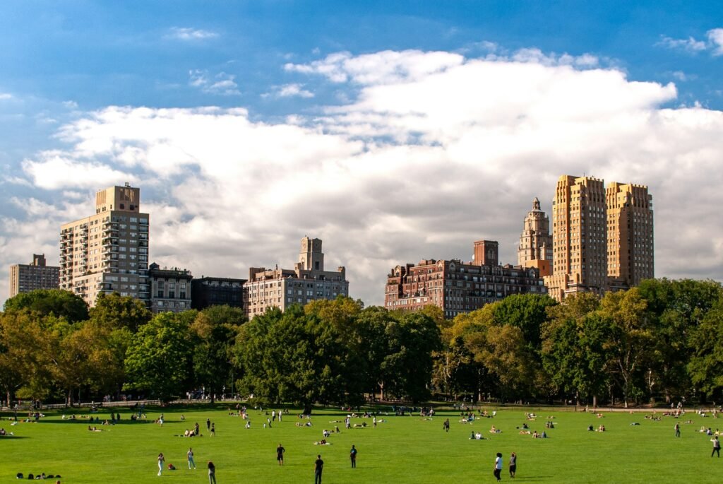 hotels near central park